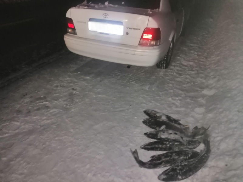 На Камчатке в Мильковском районе госавтоинспекторы выявили факт незаконной рыбалки