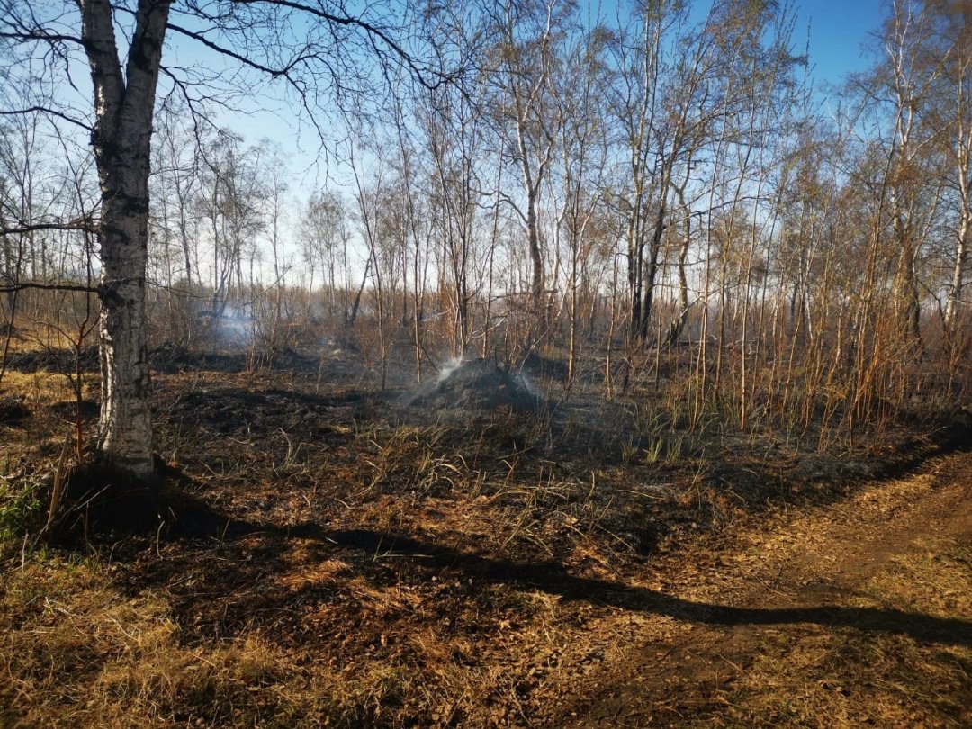 На Камчатке в нескольких районах повысился класс пожарной опасности