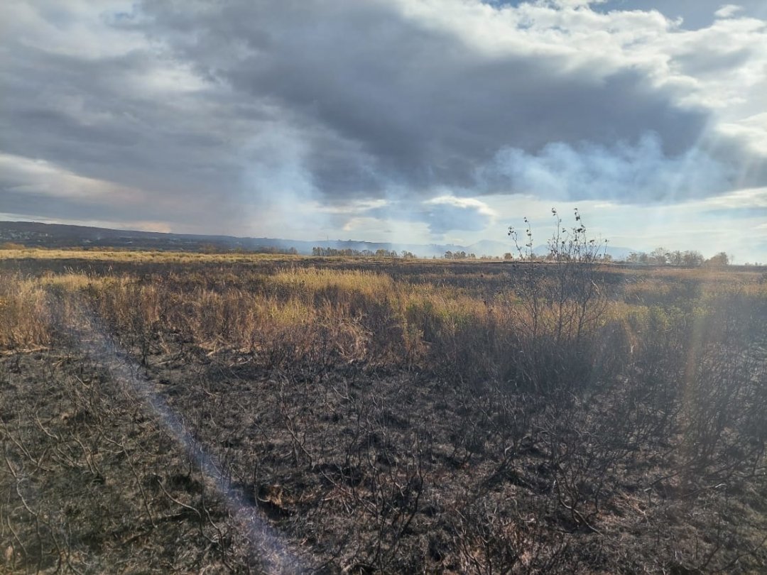 На Камчатке в нескольких населённых пунктах повысился класс пожарной опасности