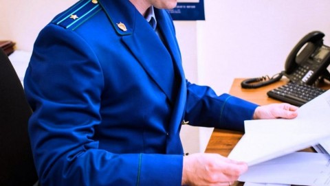 Обвиняемому в смертельном ДТП в с. Мильково избрана мера пресечения в виде заключения под стражу